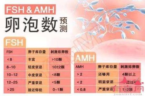 39岁在广州做试管成功率高吗
