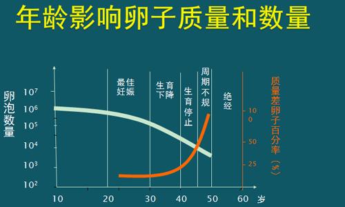 二代试管婴儿的成功率有多高